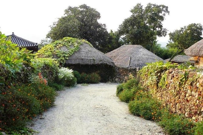 Traditional Korean folk village Afternoon tour - Is $80 a fair price?