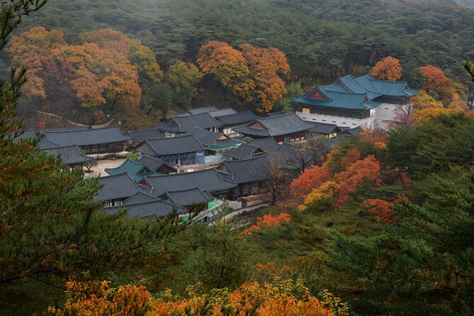 UNESCO Tongdosa Temple + Gourmet Eonyang Style Bulgogi Lunch - Is $212 per person a fair price?