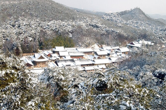 UNESCO Tongdosa Temple + Gourmet Eonyang Style Bulgogi Lunch - What past guide assignments tell you