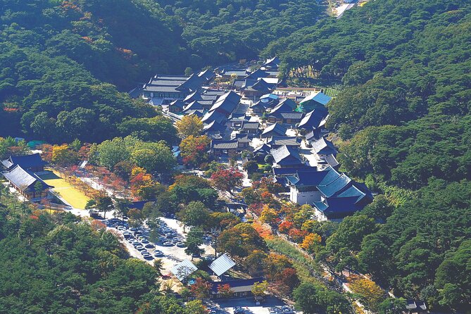 UNESCO Tongdosa Temple + Gourmet Eonyang Style Bulgogi Lunch - Timing, comfort, and small practical matters