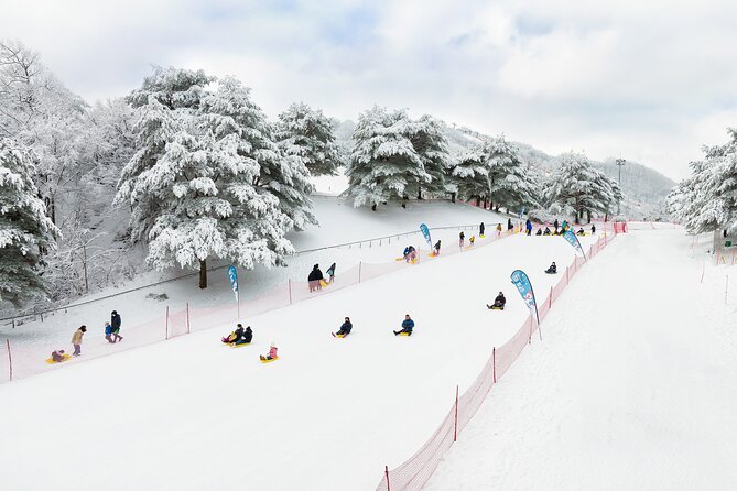 Vivaldi Park Winter Ski with Eobi Ice Valley Day Tour from Seoul - Why this winter day trip works from Seoul
