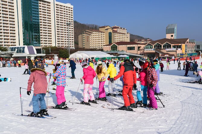 Vivaldi Park Winter Ski with Eobi Ice Valley Day Tour from Seoul - Transport, staff, and the pace of the day