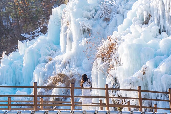 Vivaldi Park Winter Ski with Eobi Ice Valley Day Tour from Seoul - Who will enjoy this tour most